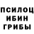 Псилоцибиновые грибы Cubensis Elena Salov