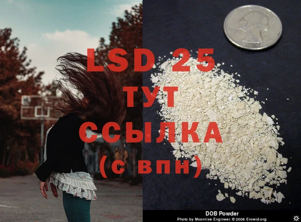 MESCALINE Нефтекумск