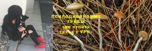 герыч Алексин