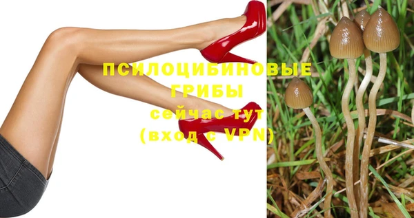 герыч Алексин