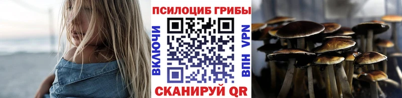 купить наркотик  Лобня  Псилоцибиновые грибы Psilocybe 